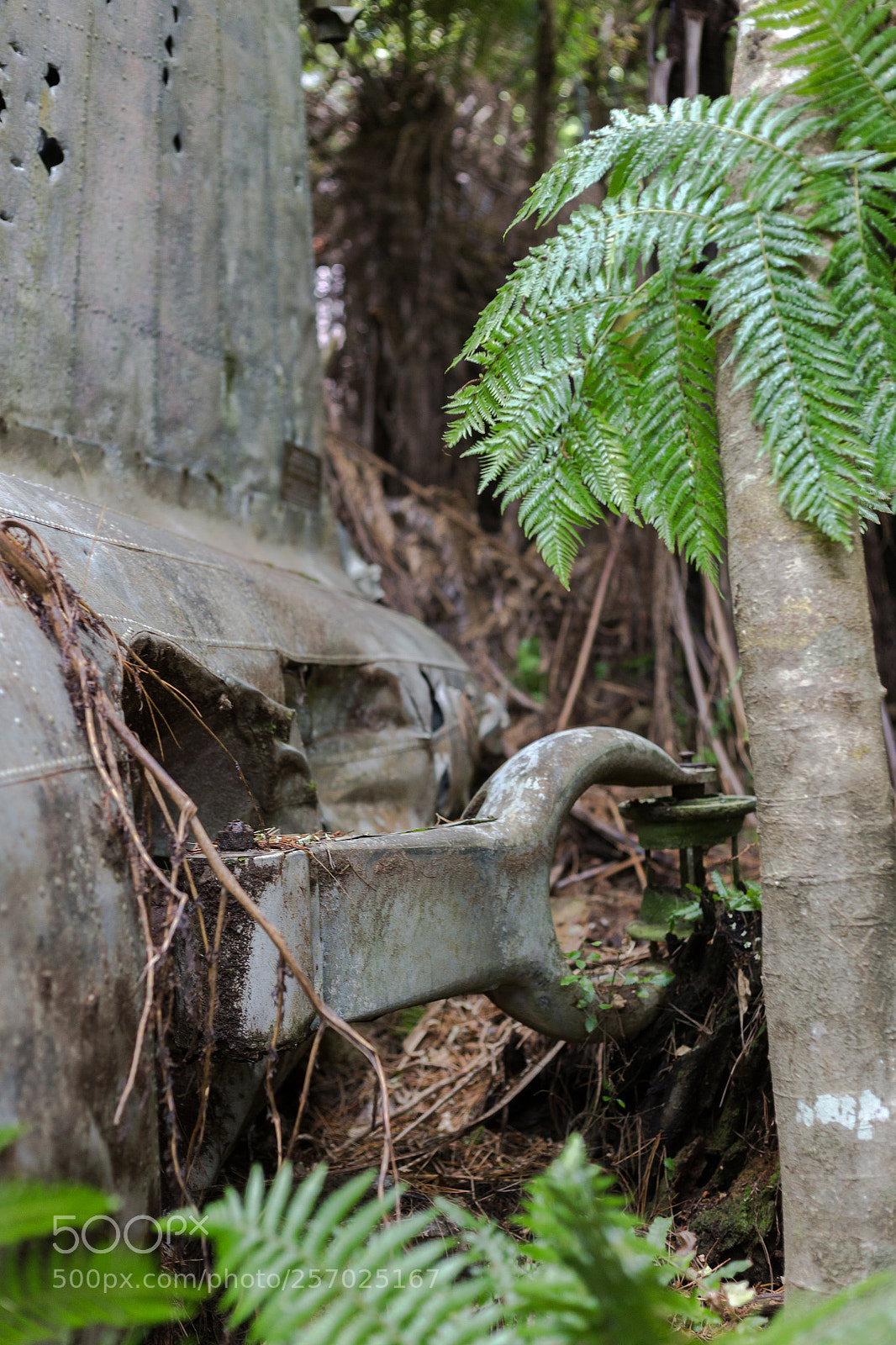 Canon EOS 6D sample photo. Port underwood, new zealand photography