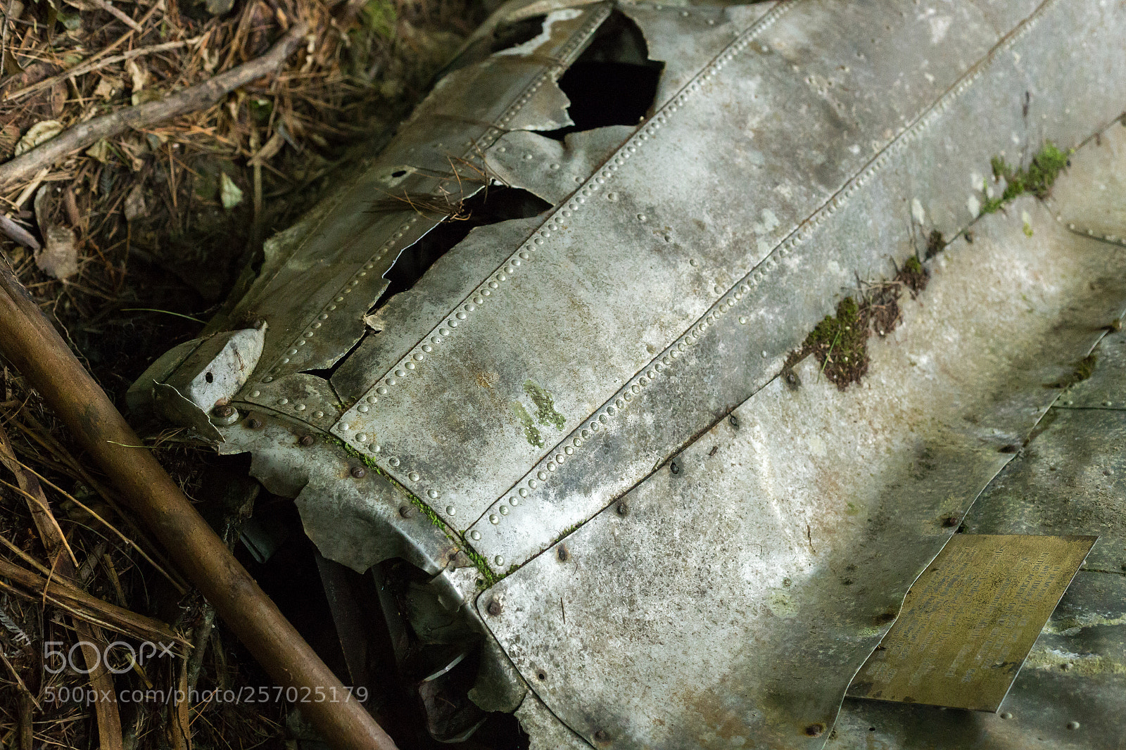Canon EOS 6D sample photo. Port underwood, new zealand photography