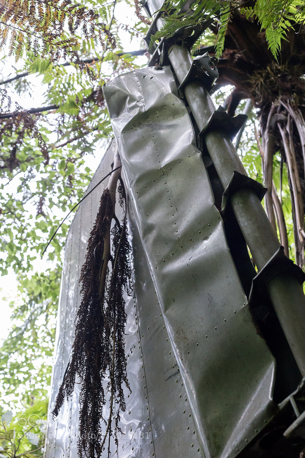 Canon EOS 6D sample photo. Port underwood, new zealand photography