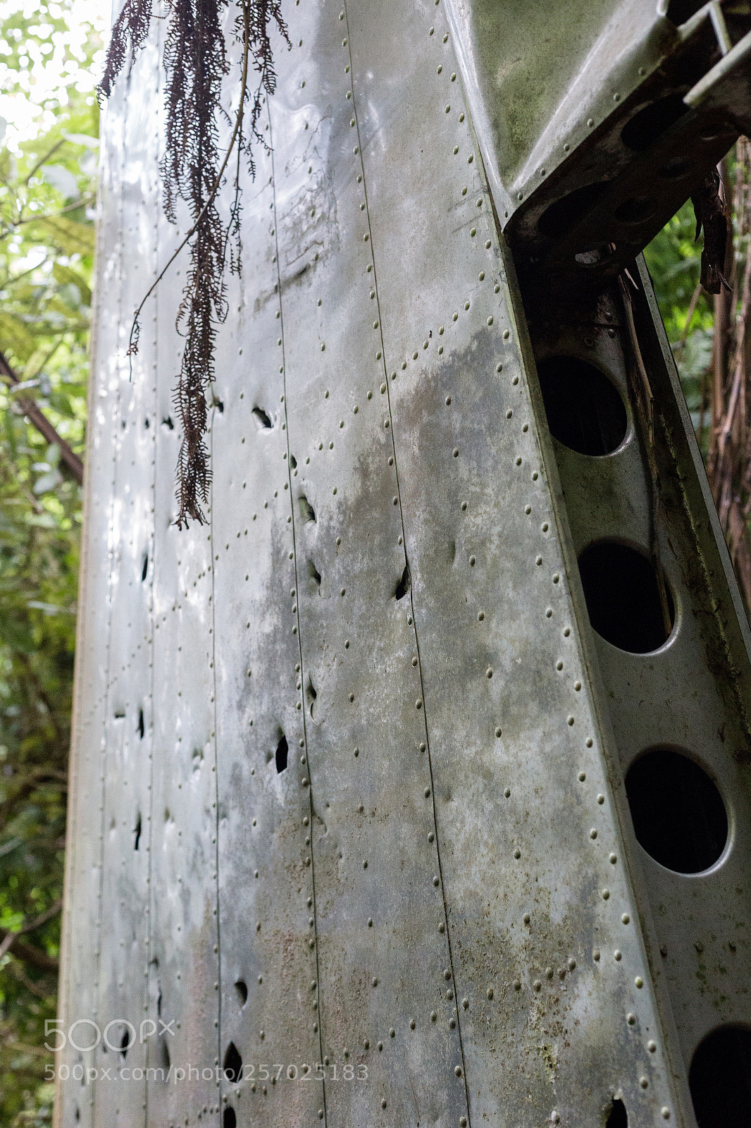 Canon EOS 6D sample photo. Port underwood, new zealand photography