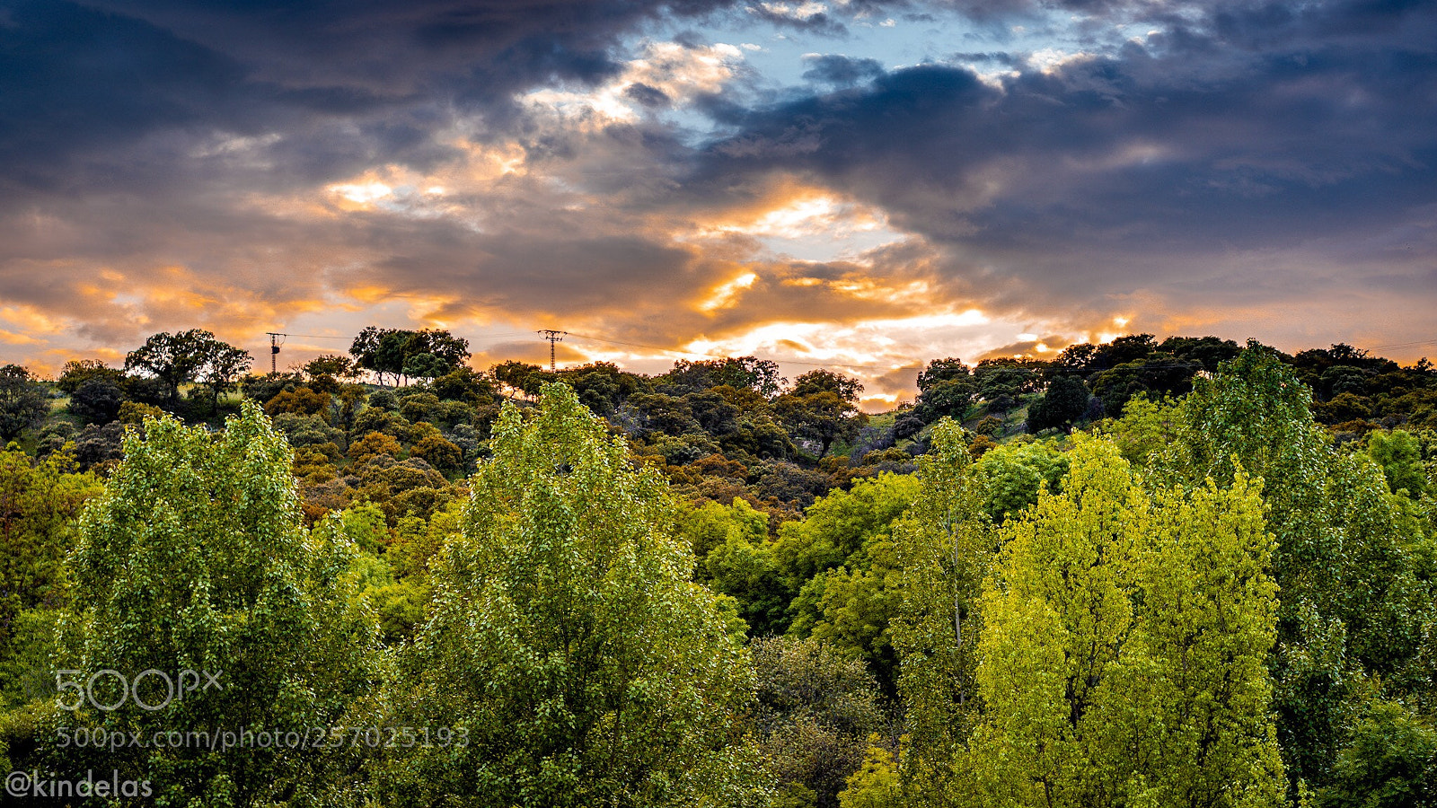Sony a6300 sample photo. Mingorrubio (el pardo) 
madrid photography