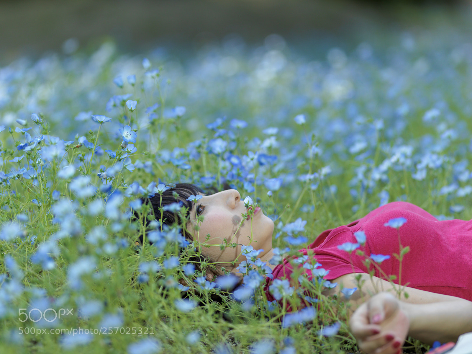 Hasselblad X1D-50c sample photo. In the flower photography