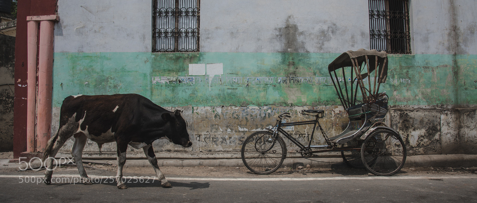 Nikon D810 sample photo. Varanasi photography