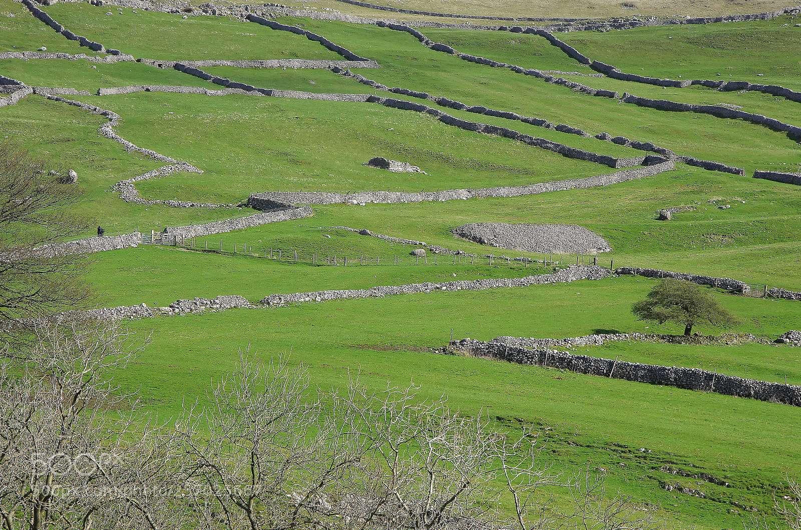 Pentax K-5 sample photo. Dry stone walls photography