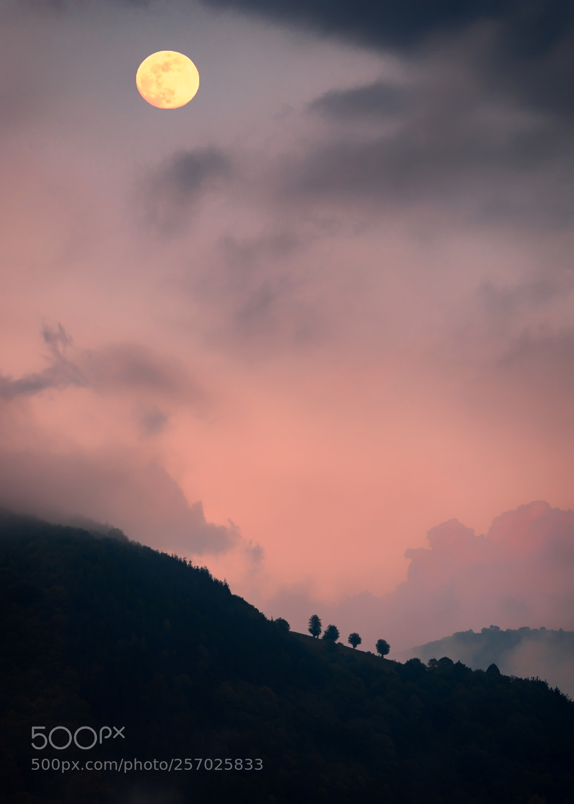 Nikon D7100 sample photo. Ribaritsa photography
