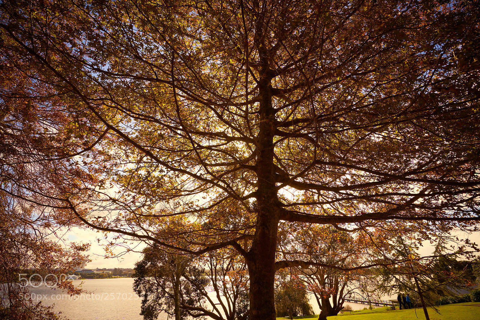 Sony a7R II sample photo. Untitled photography
