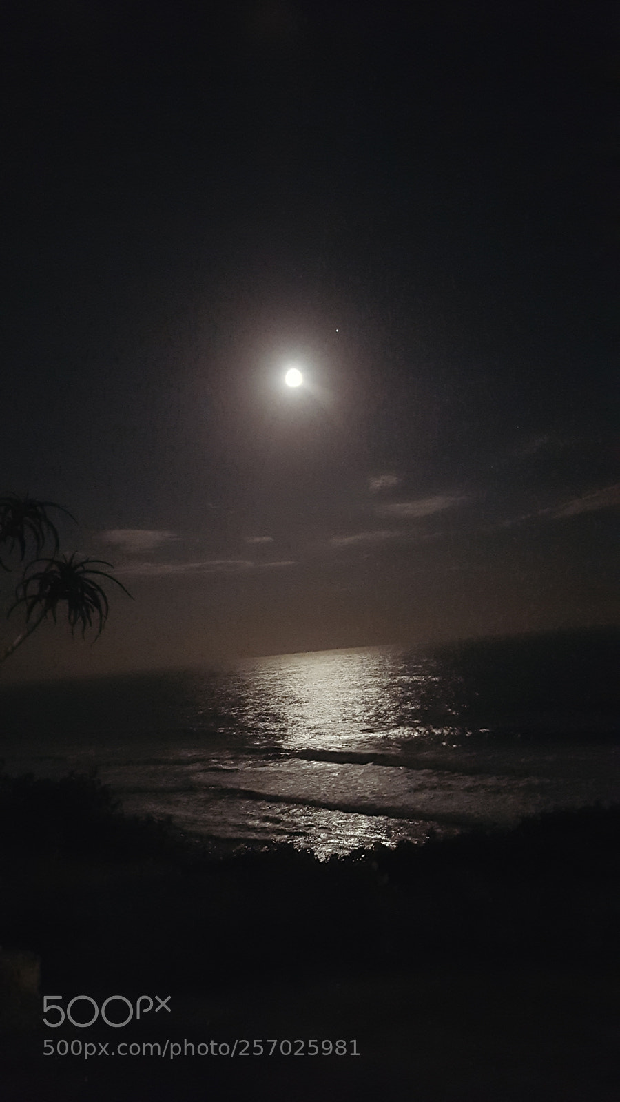 Samsung GALAXY S6 edge sample photo. Moonlight reflection photography