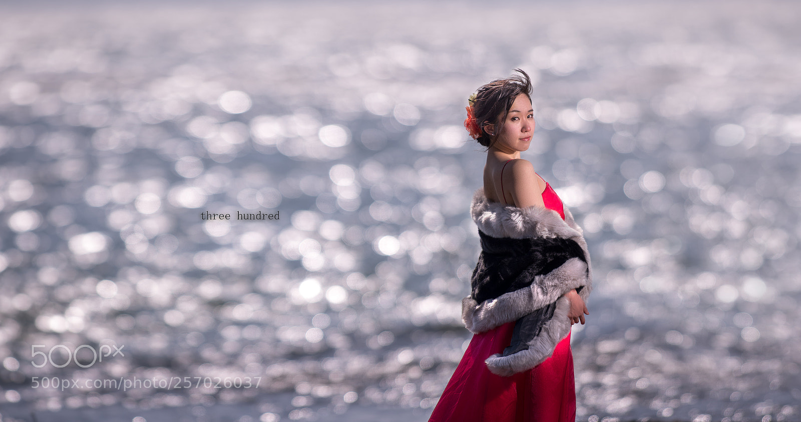 Sony a7R III sample photo. Three hundred / trimming photography
