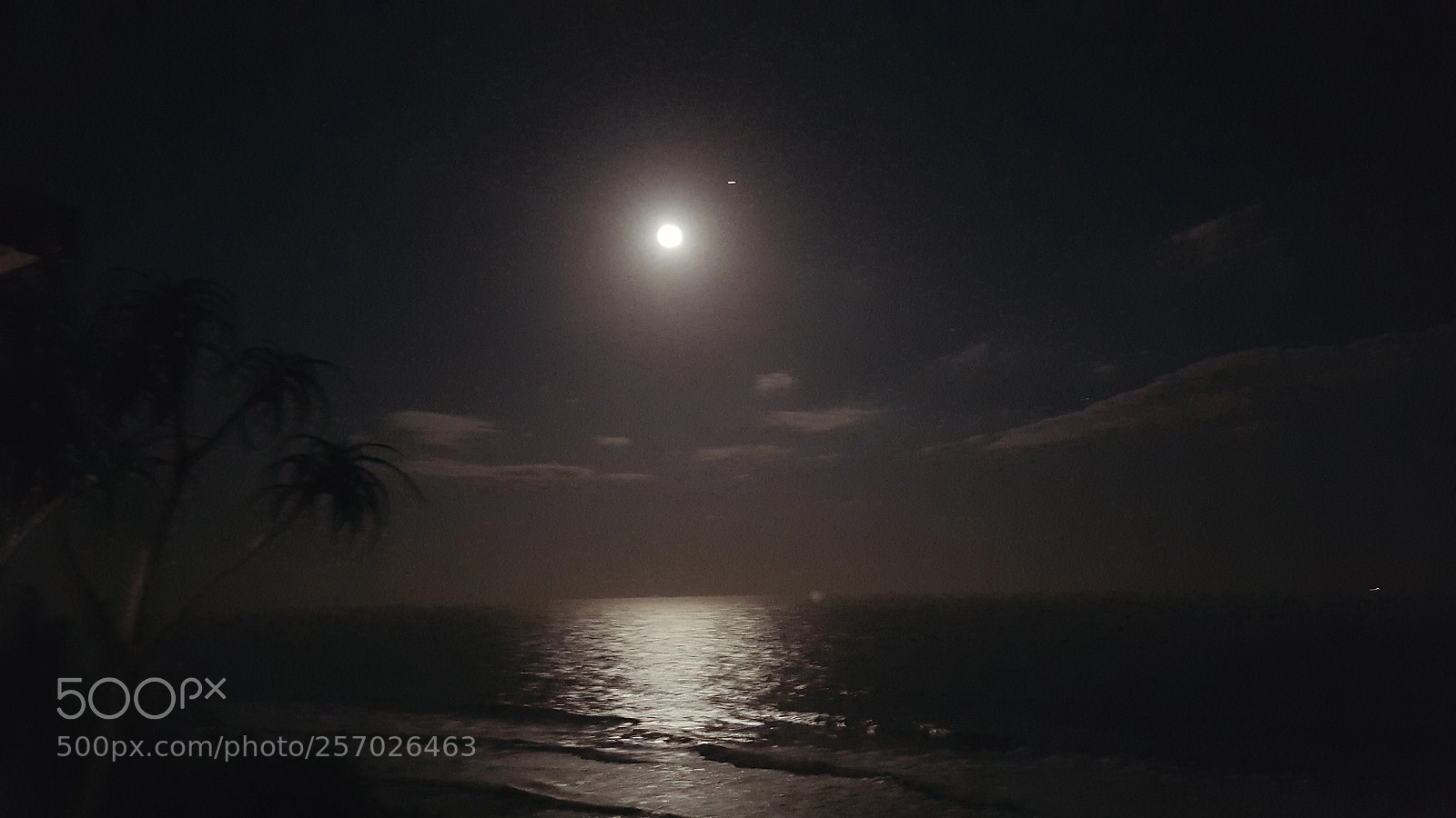 Samsung GALAXY S6 edge sample photo. Moonlight reflections photography