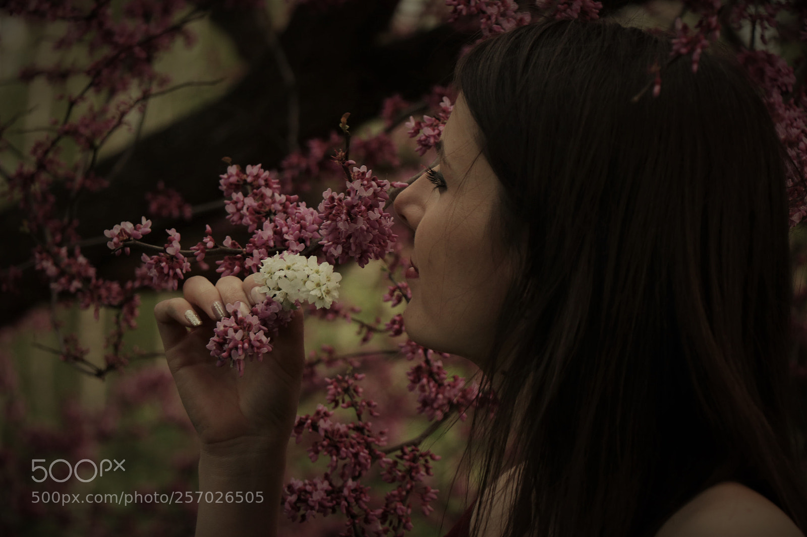 Canon EOS 80D sample photo. Img photography