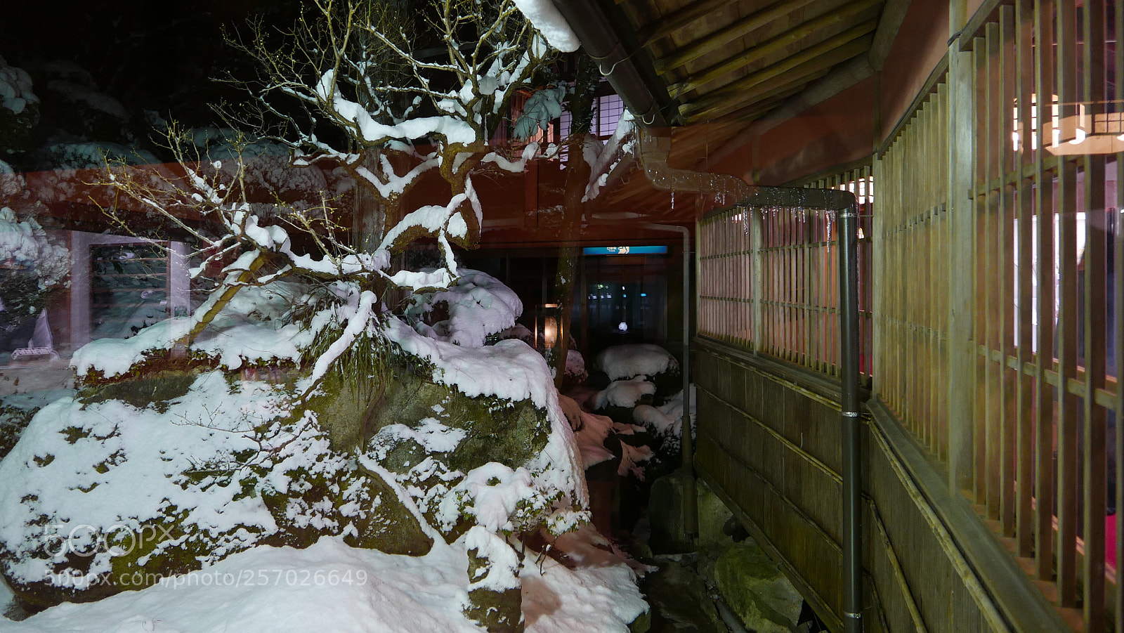 Leica D-Lux (Typ 109) sample photo. 雪夜。。。 photography