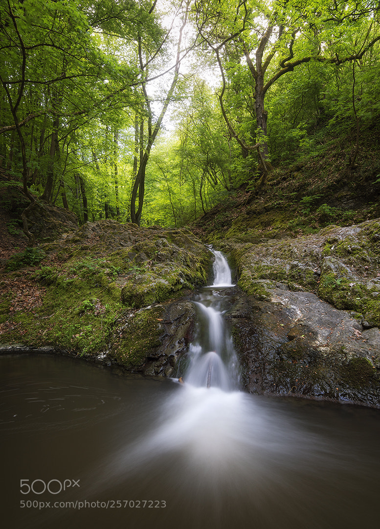 Nikon D5500 sample photo. Brook photography