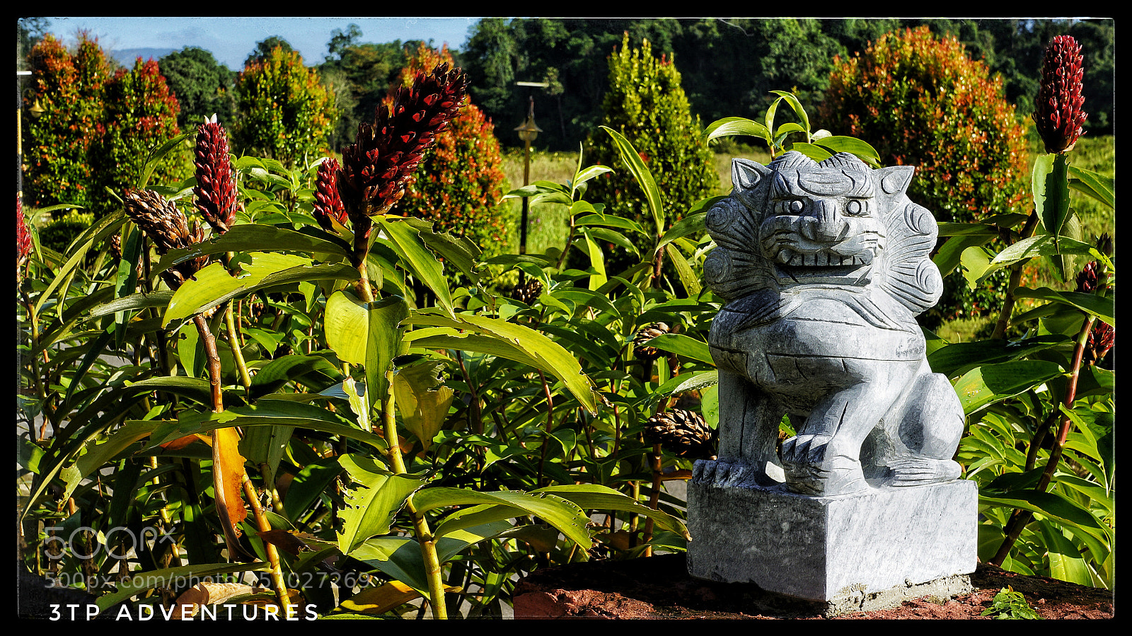 Sony Alpha NEX-5N sample photo. Untitled photography