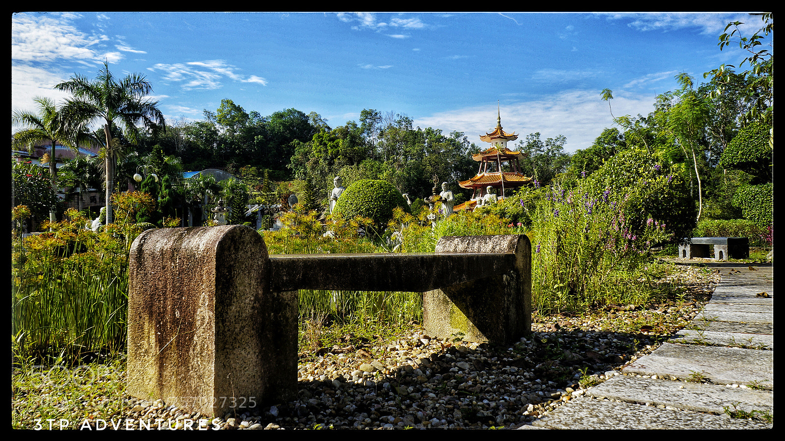 Sony Alpha NEX-5N sample photo. Untitled photography