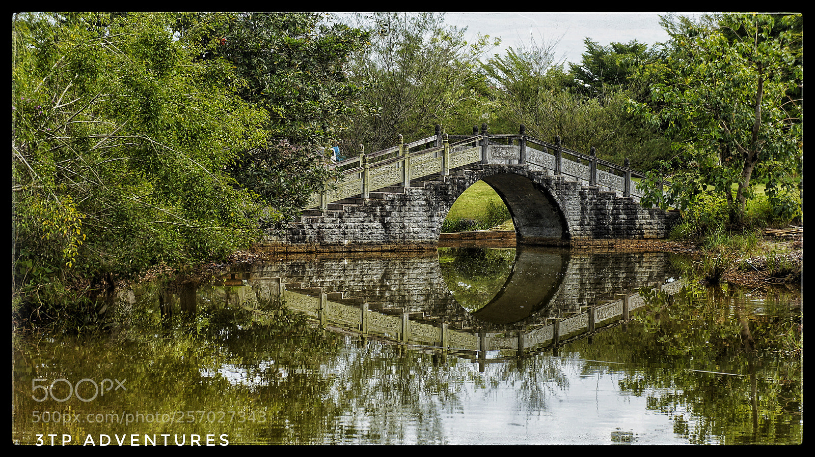 Sony Alpha NEX-5N sample photo. Untitled photography