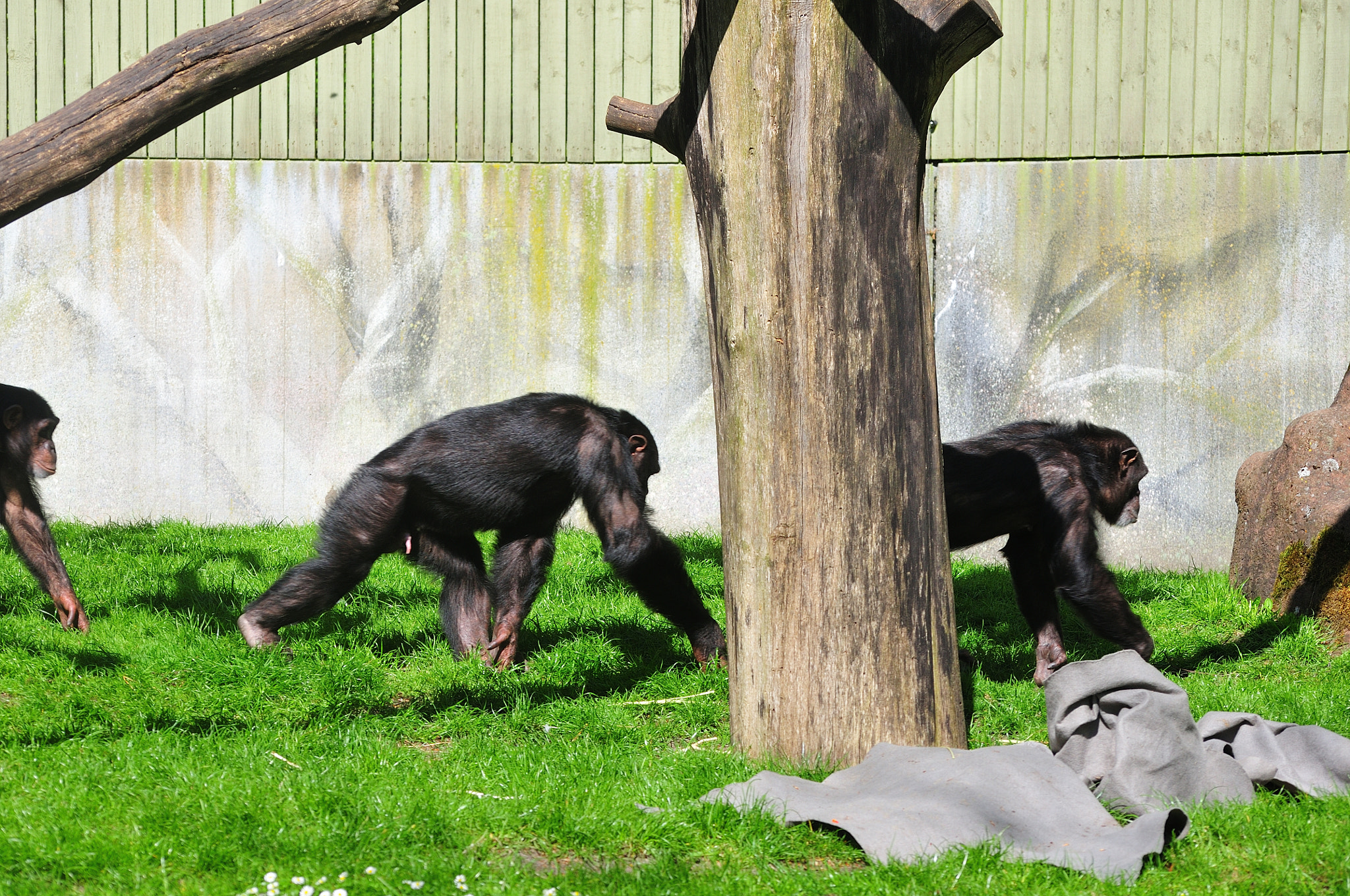 Nikon D300S sample photo. 300_8159_445.jpg photography