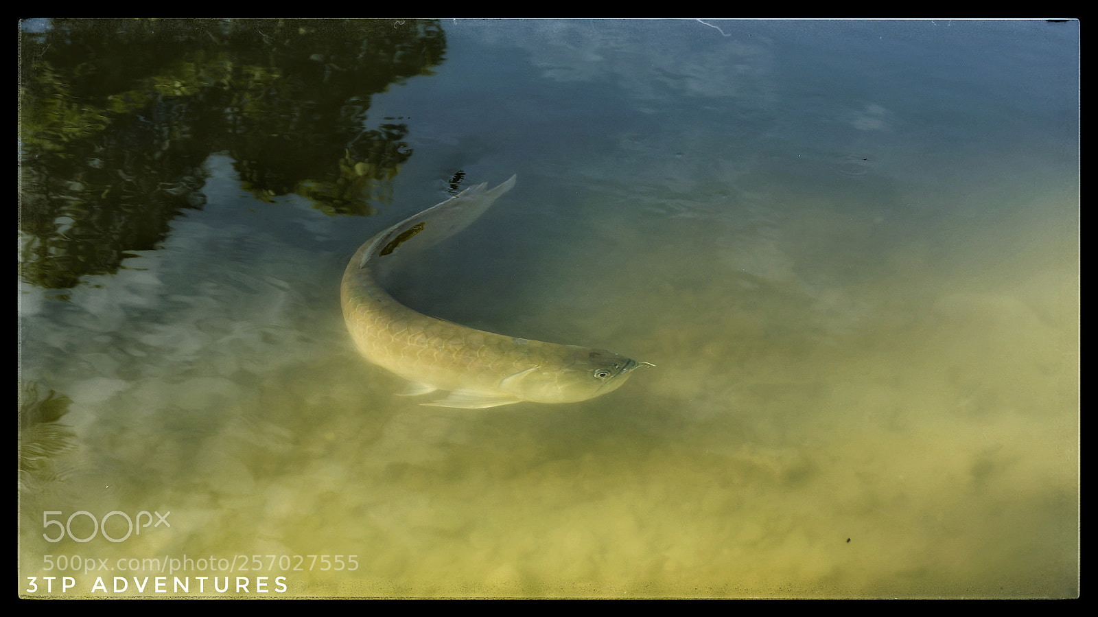 Sony Alpha NEX-5N sample photo. Untitled photography