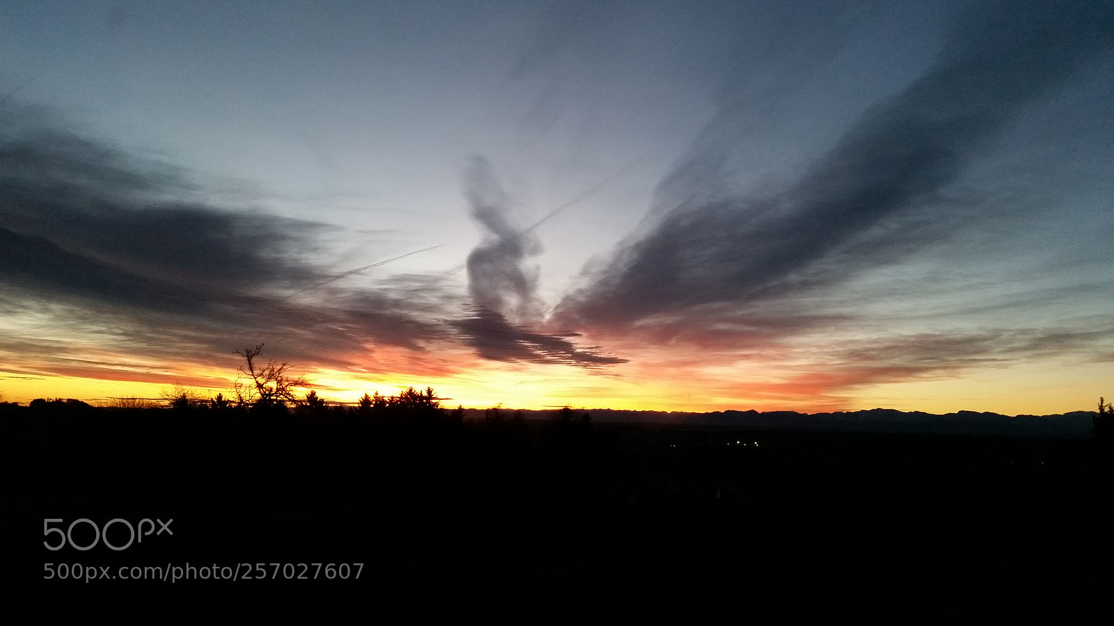 Samsung Galaxy S5 sample photo. Untitled photography