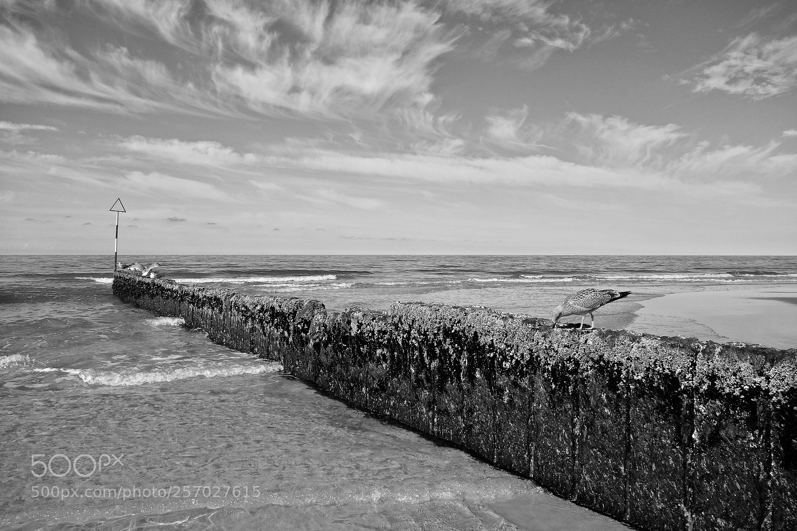 Sony Cyber-shot DSC-RX100 sample photo. On the sands photography