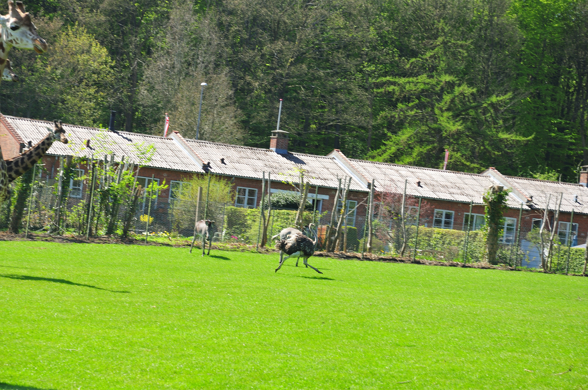 Nikon D300S sample photo. 300_8363_491.jpg photography