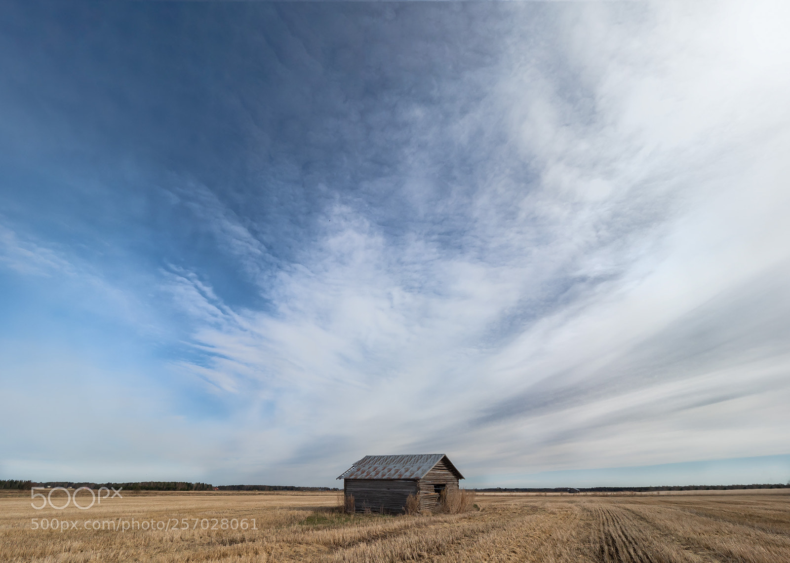 Olympus OM-D E-M1 Mark II sample photo. Springtime photography