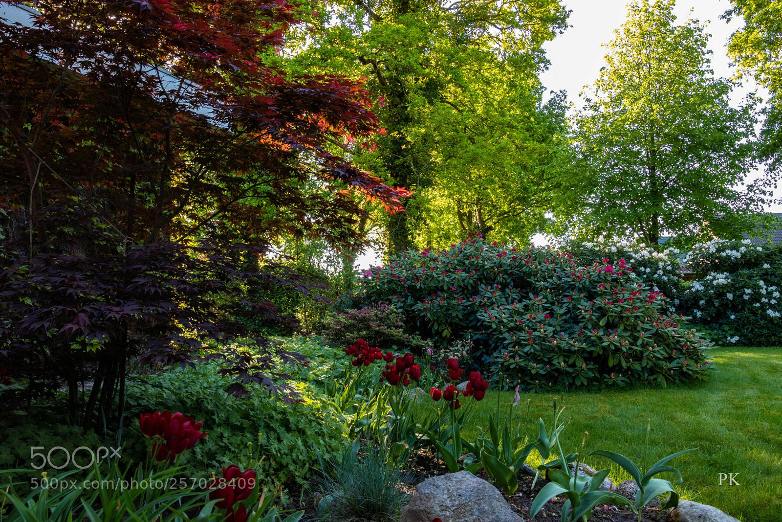 Canon EOS 80D sample photo. Spring time in my photography