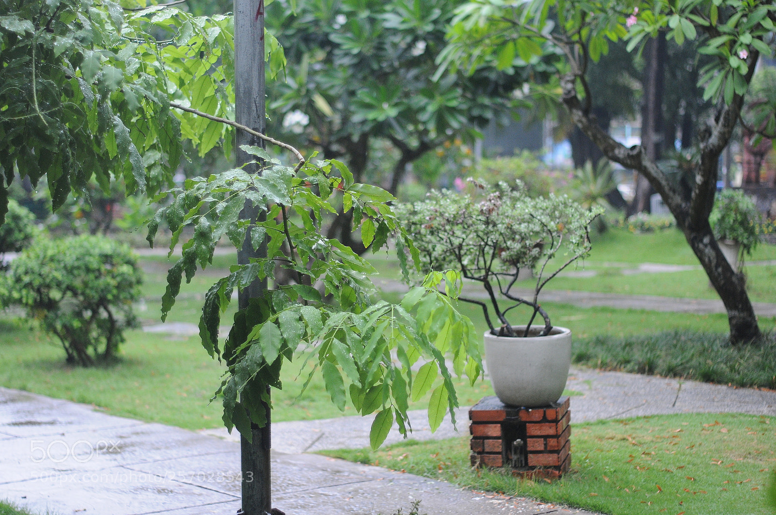 Nikon D300 sample photo. Colour photography