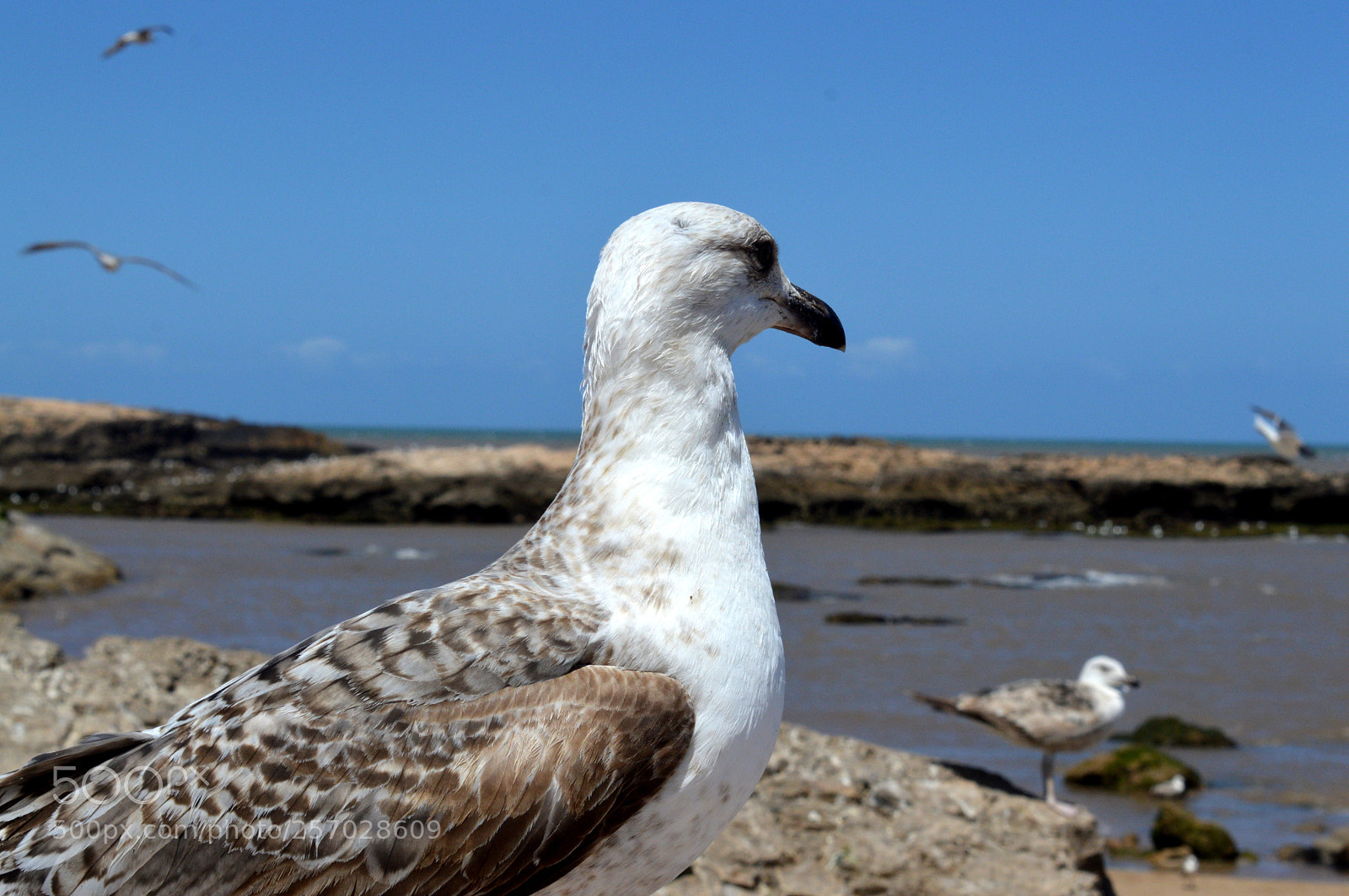Nikon D3200 sample photo. I'm on my watch photography
