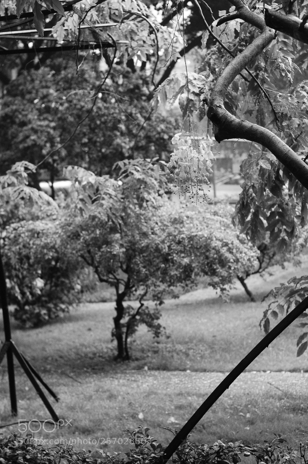Nikon D300 sample photo. Good day photography