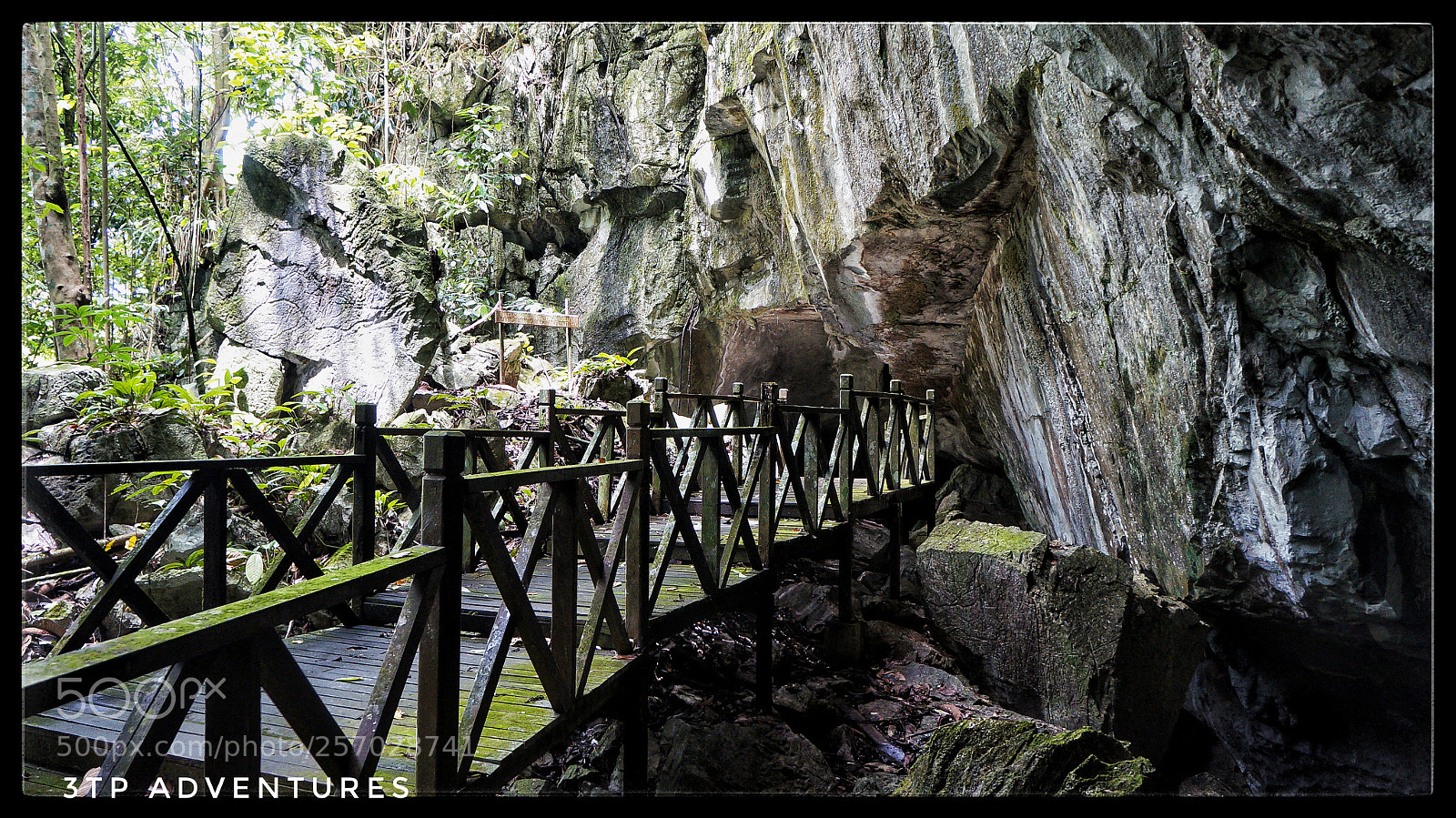 Sony Alpha NEX-5N sample photo. Untitled photography