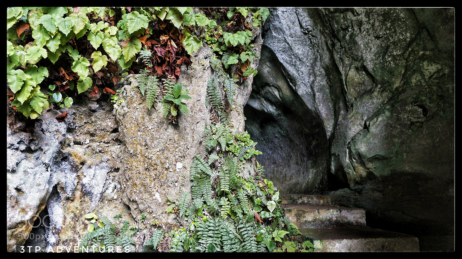 Sony Alpha NEX-5N sample photo. Untitled photography