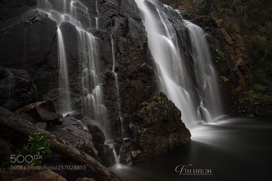 Canon EOS 6D sample photo. Across the stream photography