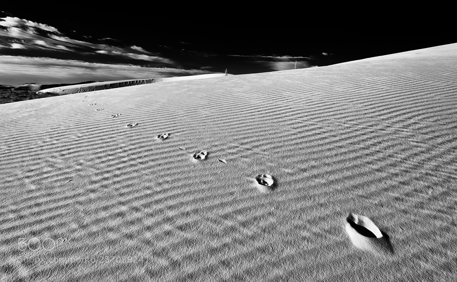 Canon EOS 5D Mark II sample photo. Tracks across the sand photography