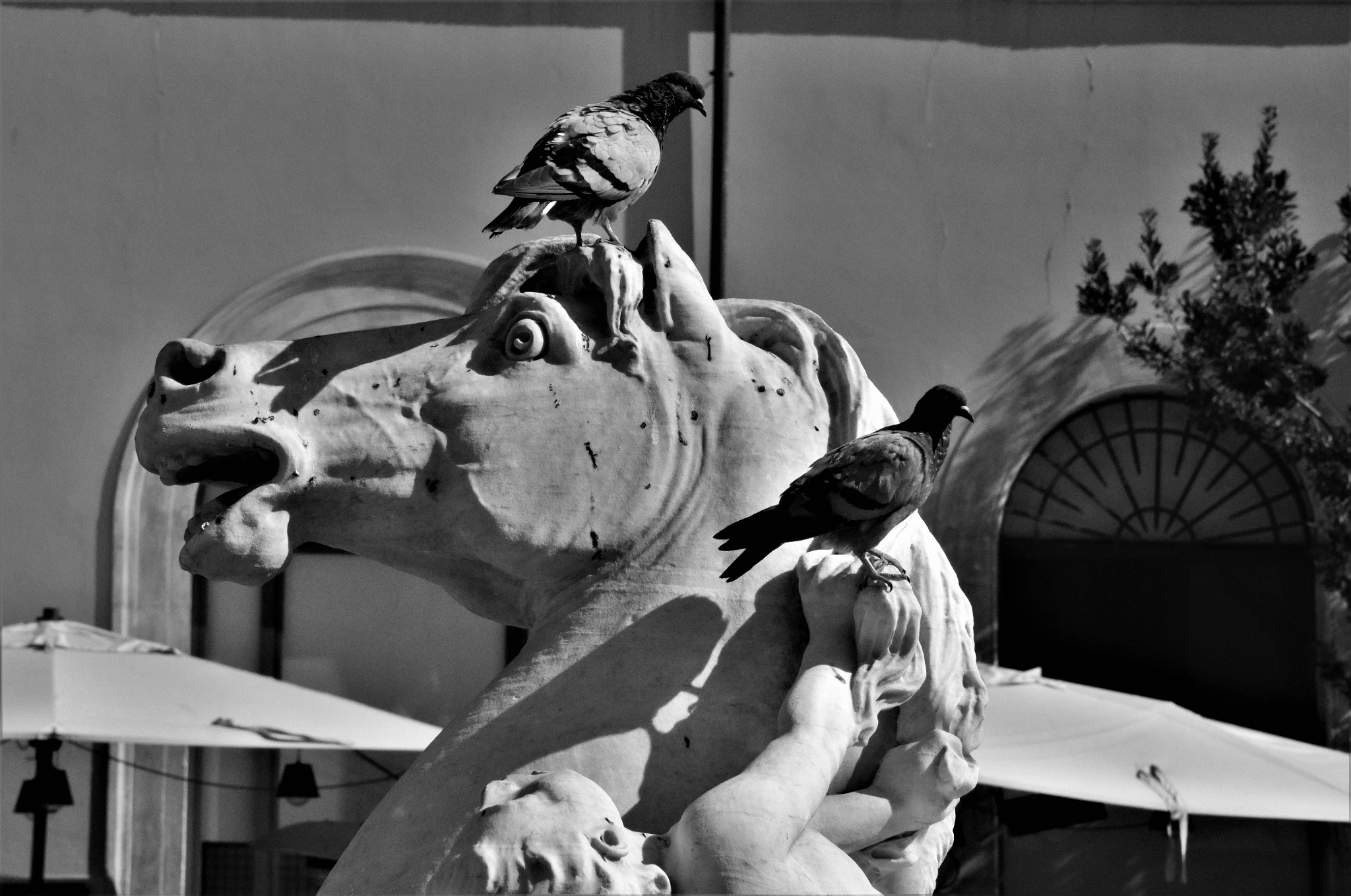 Nikon D3300 sample photo. Dsc photography