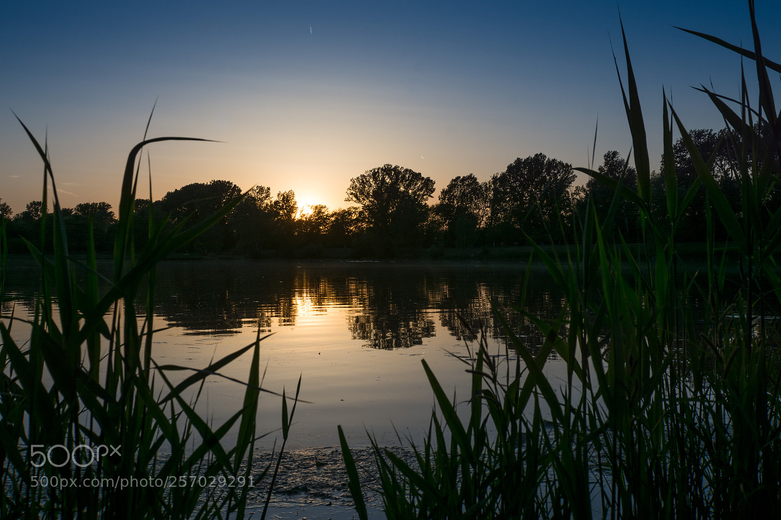 Nikon D7100 sample photo. Good night photography