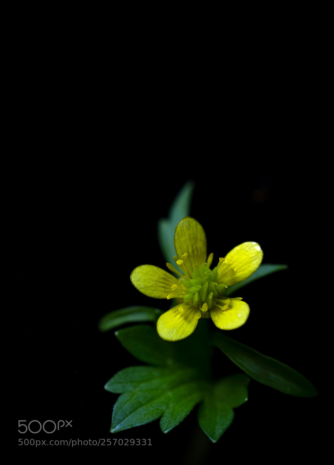 Olympus OM-D E-M10 II sample photo. Creencias photography