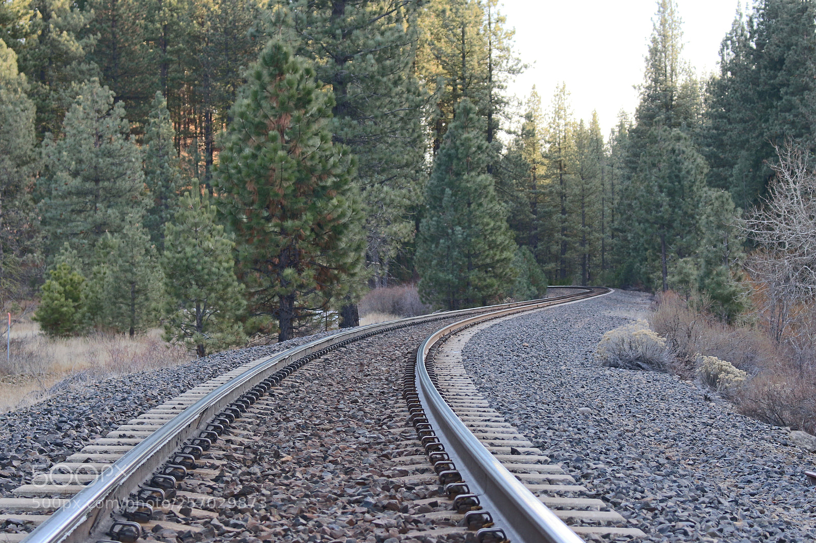 Canon EOS 700D (EOS Rebel T5i / EOS Kiss X7i) sample photo. The rail way photography