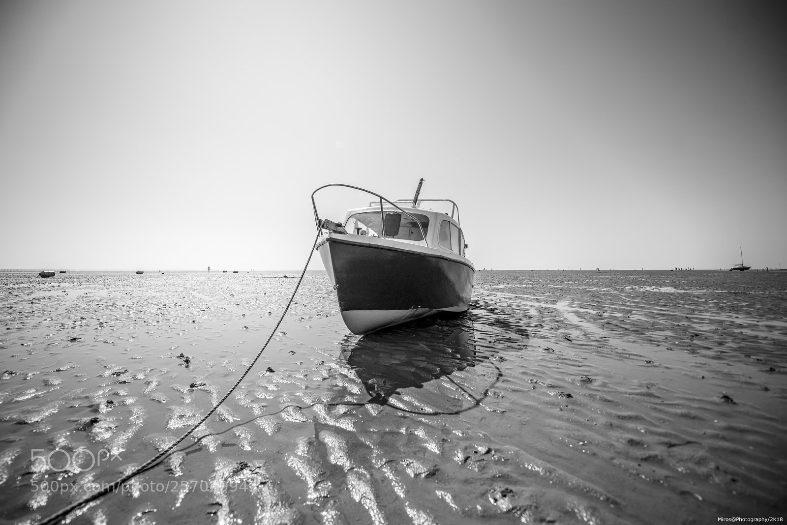 Nikon D800 sample photo. No water photography
