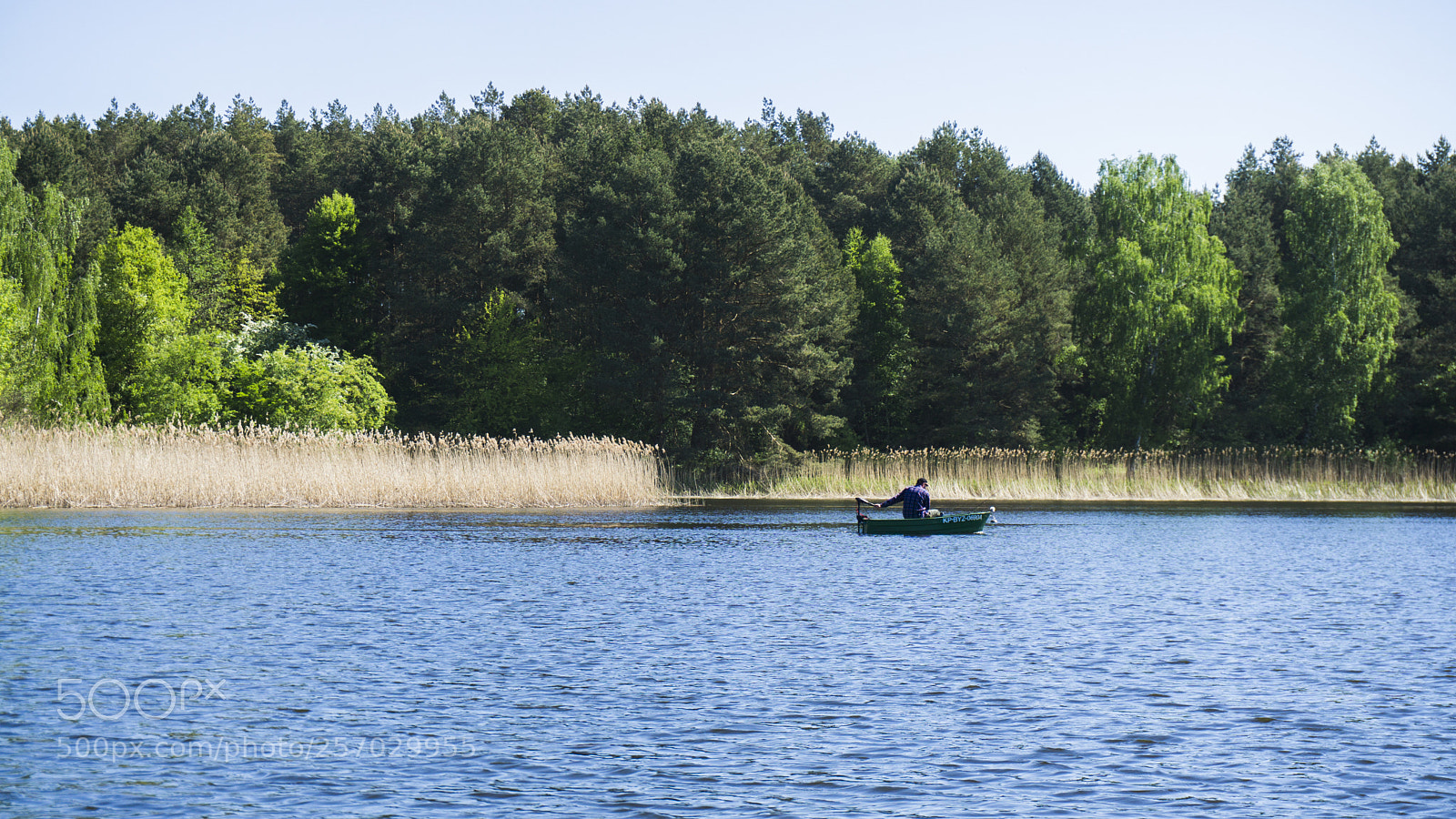 Sony a6000 sample photo. Enjoy the silence. photography