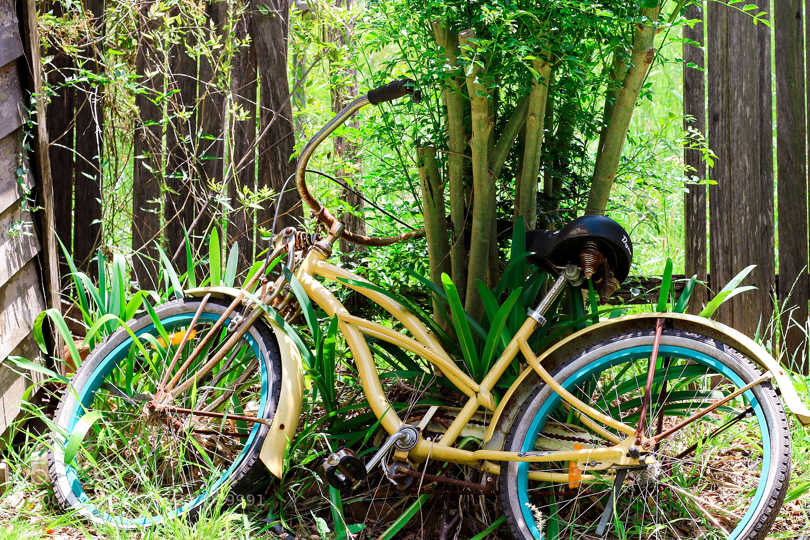 Canon EOS 7D Mark II sample photo. Bike photography