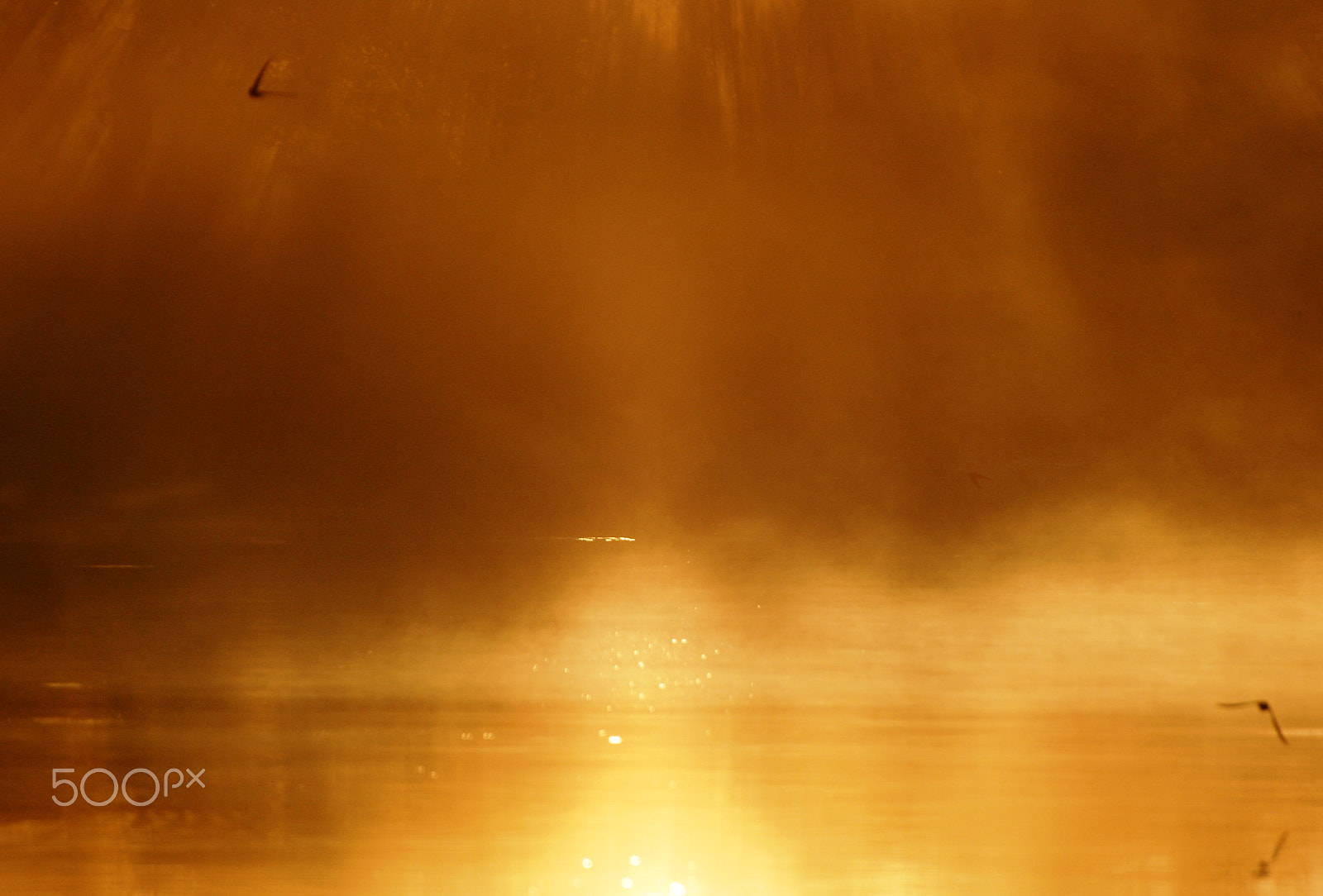 Nikon D80 sample photo. Biosfera morning mood photography