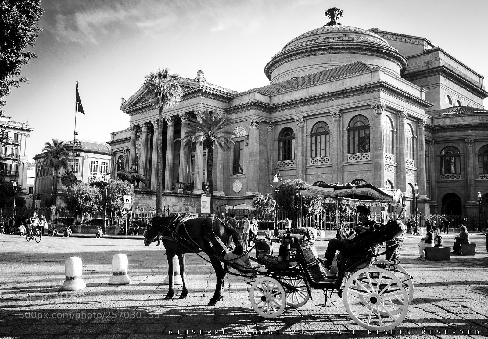 Pentax K-30 sample photo. Carriage ride photography