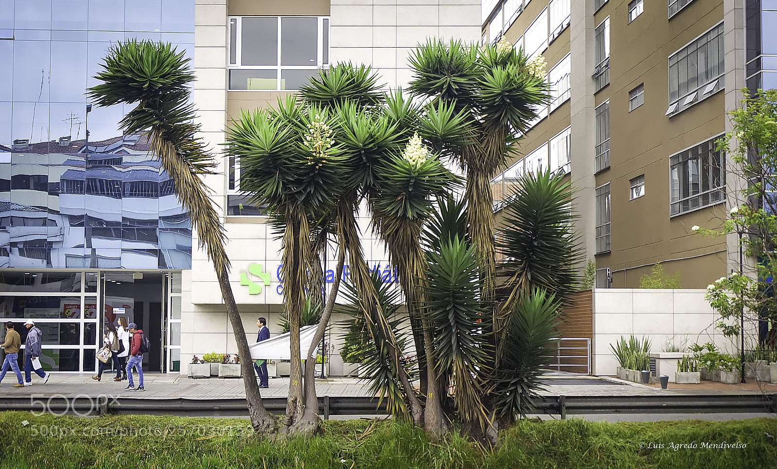 Nikon D90 sample photo. Landscape in the city photography