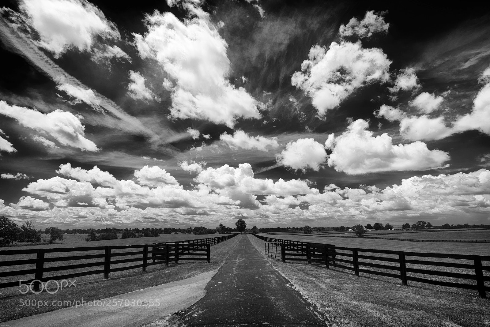 Sony a7R sample photo. Bluegrass big sky photography