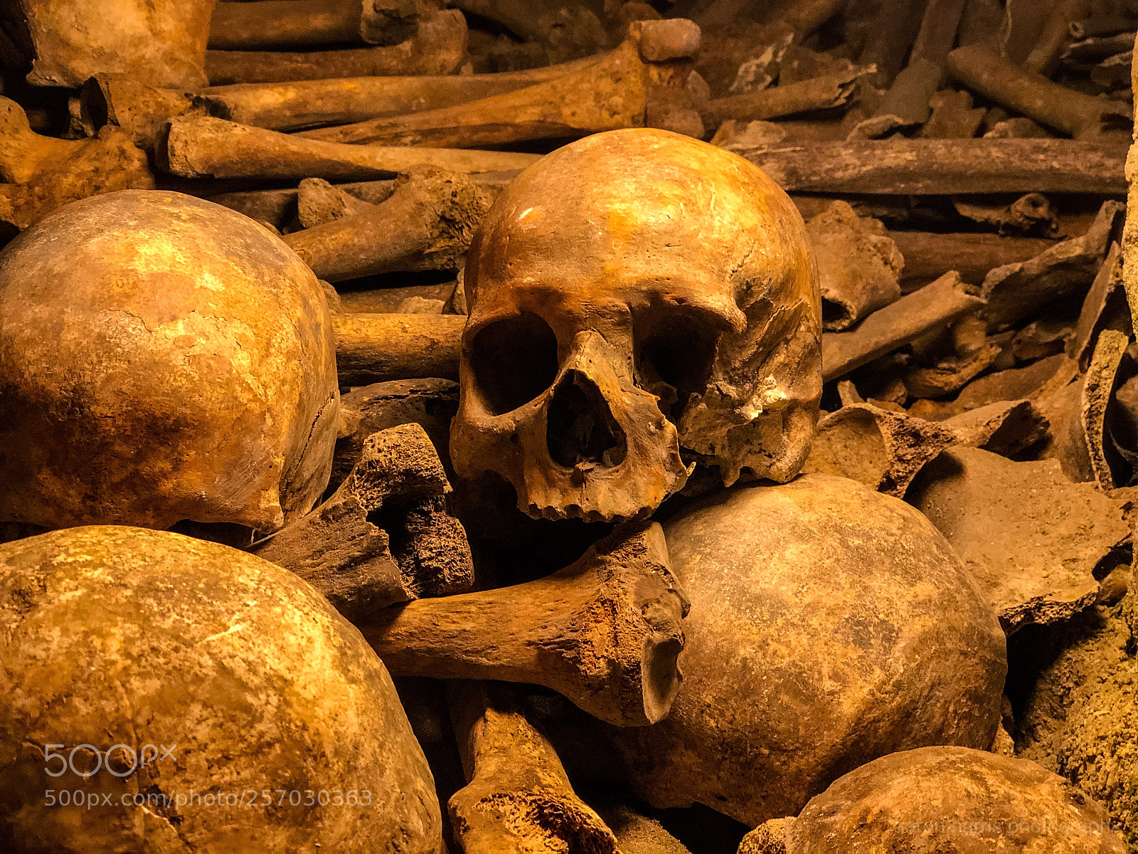 Apple iPhone X sample photo. In the catacombs photography
