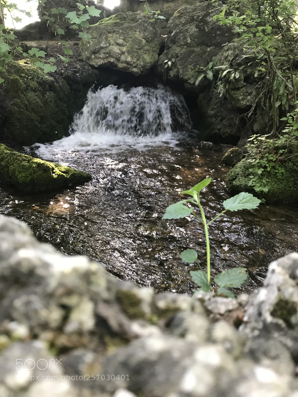 Apple iPhone 7 sample photo. Untitled photography