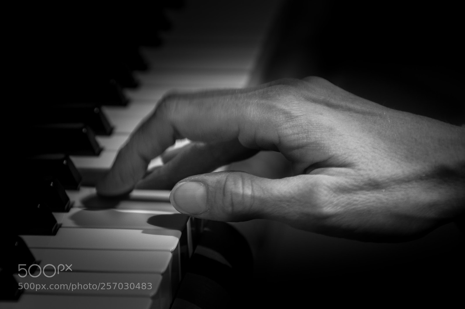 Nikon D90 sample photo. Gaby's hand photography