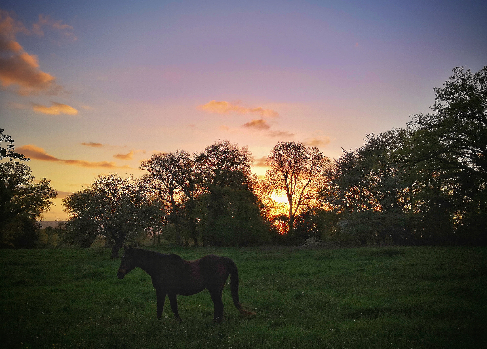 HUAWEI Honor View 10 sample photo. Peaceful photography