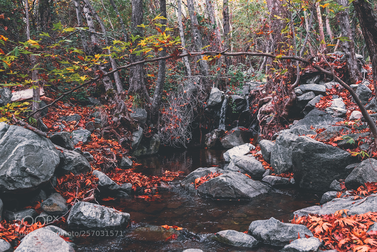 Nikon D750 sample photo. Waterfall of troodos, cyprus photography