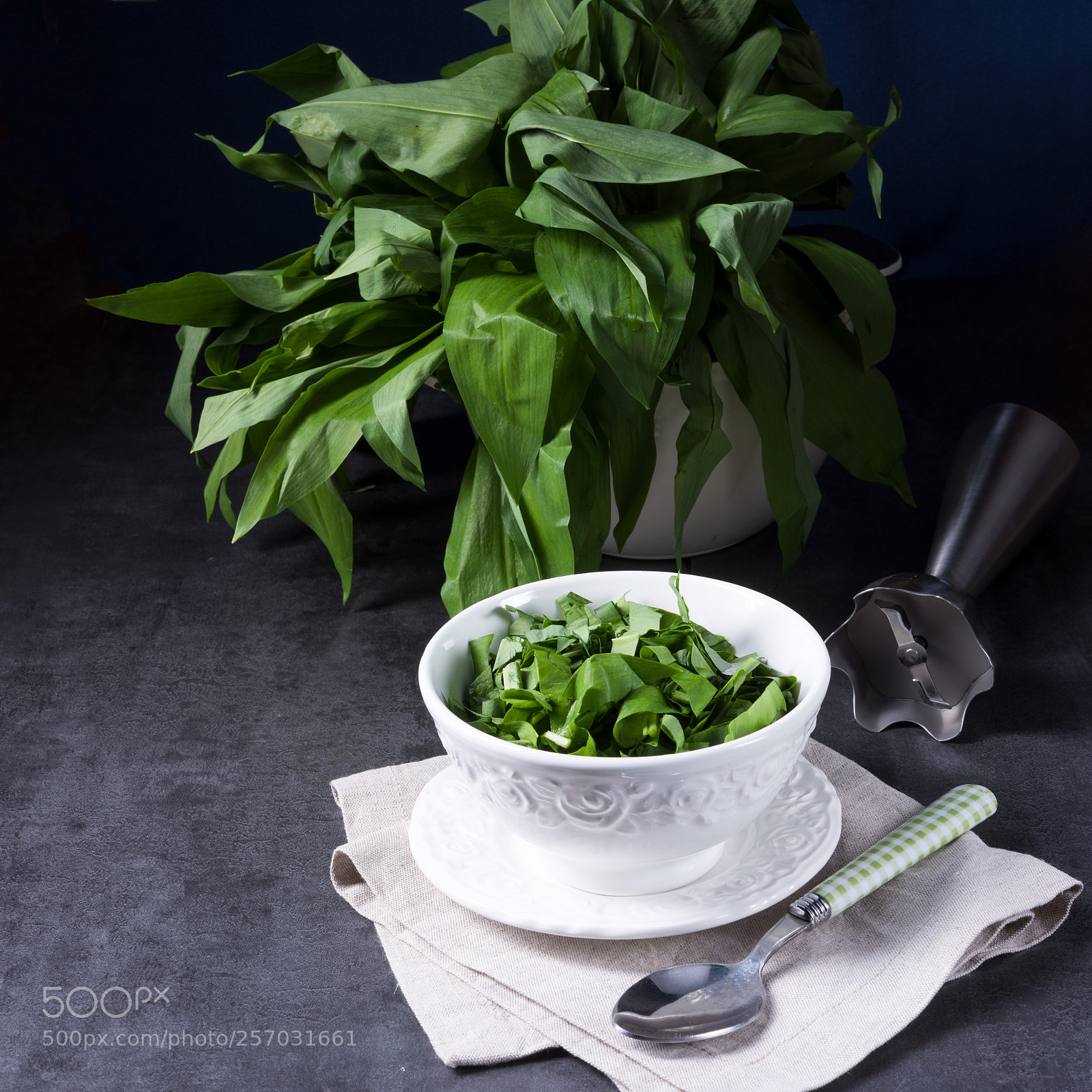 Nikon D810 sample photo. Wild garlic stripes for photography